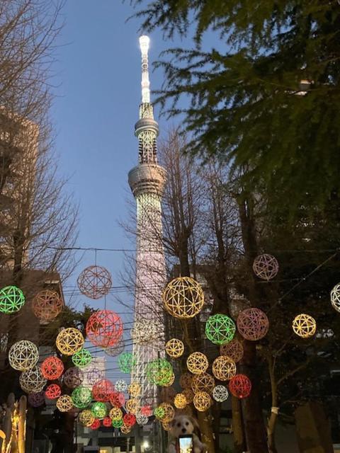 Sky Tree Inn Ⅱ（晴樹宿ⅱ） Tokio Exterior foto
