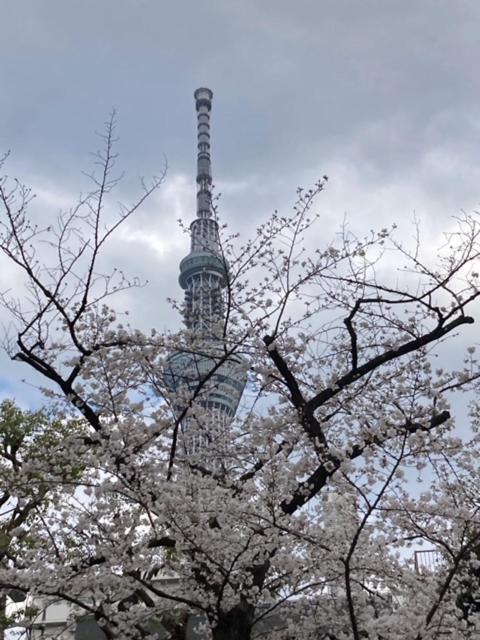 Sky Tree Inn Ⅱ（晴樹宿ⅱ） Tokio Exterior foto